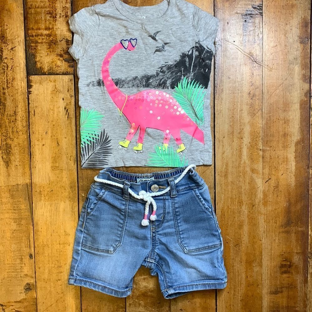Oshkosh outfit size 9 months shirt Carters shorts summer outfit dinosaur pink
